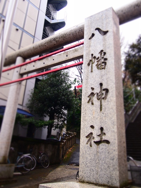 P2225503