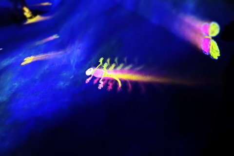 E0DDE25D-80DD-4D59-9FE3-C9BC4E16FD0C