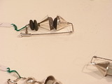 RIMG3086
