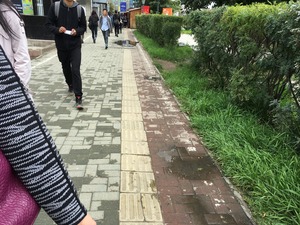 IMG_4584