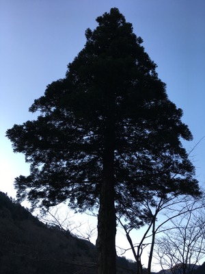 2017021819-12