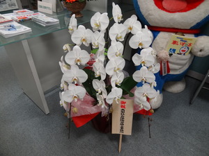 DSC00626