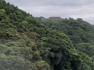 IMG_0404