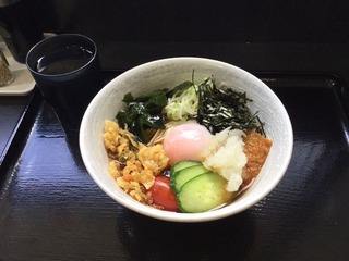 冷し彩りそば