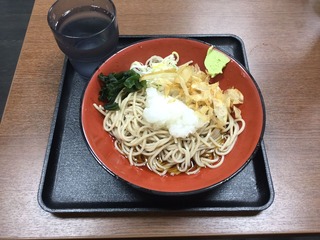 冷しおろしそば