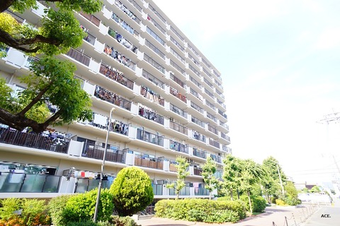 DSC04625