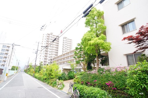 DSC04557