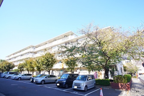 DSC05347