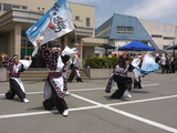 2010春の北の杜まつり1