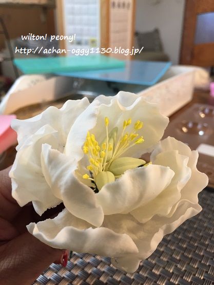 wilton20170909c