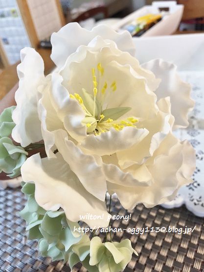 wilton20170909d