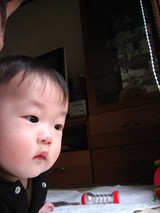 �椭��