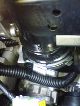 77169c4e.jpg