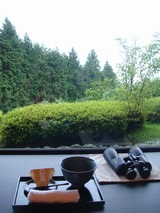 0a824a18.jpg
