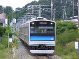 野蒜2