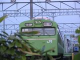 宮ハエ2