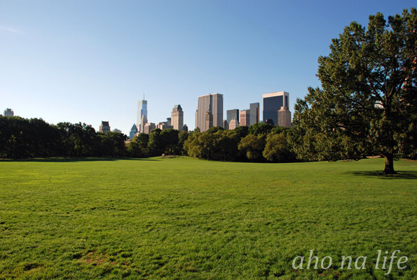 CentralPark06