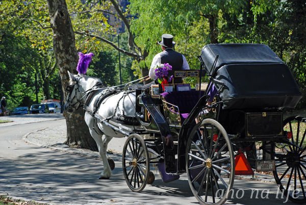 CentralPark02