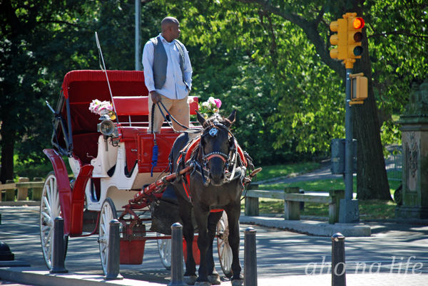 CentralPark04