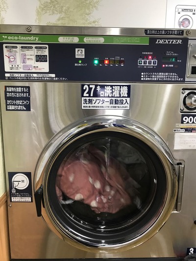 コインランドリー洗濯