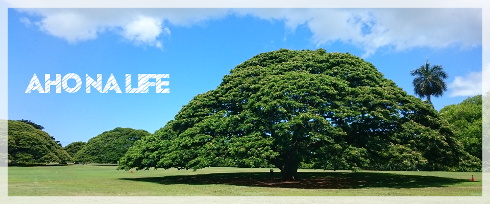 Aho Na Life Aho Na Life