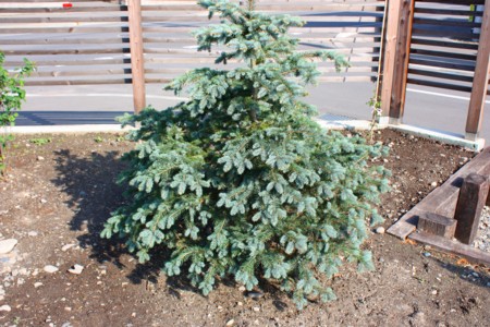 090601punngennsutouhi
