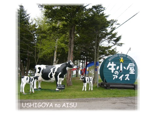 aisu1