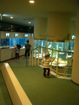 suizokukann4