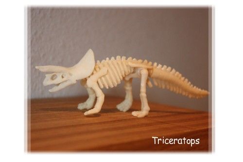 torikeratopusu1