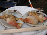 釧路ホッキ