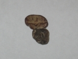 6e722699.jpg