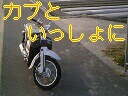 DVC00108