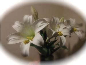 DSCF1503
