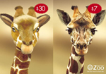 zoo2