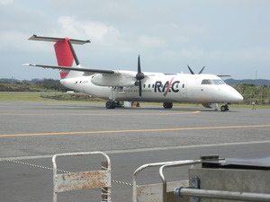 RIMG6598