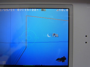 RIMG1164