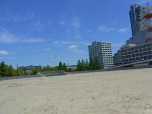 RIMG0907