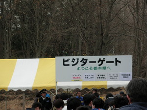 RIMG0982