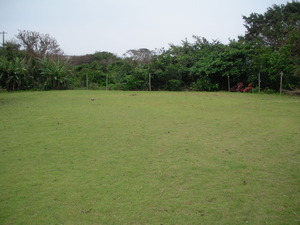 RIMG6530