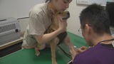 暴风截图201292641396752