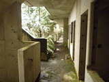 P1000506