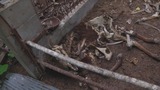 暴风截图20128214551048