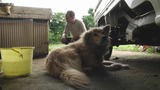 暴风截图201391337171278