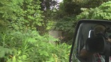 暴风截图2012994928804