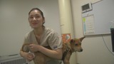 暴风截图201292641367861