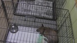 暴风截图201292640026393