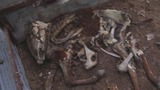 暴风截图20128214562420