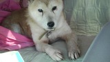 暴风截图20121199311309