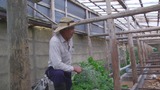 暴风截图20128214134790