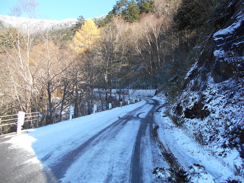 DSCN0017